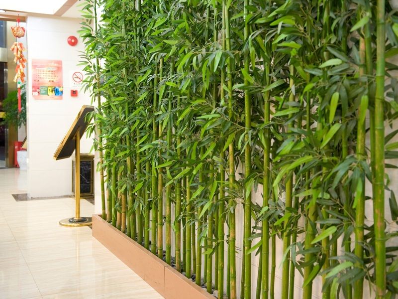 Shanghai Amersino Hotel 외부 사진